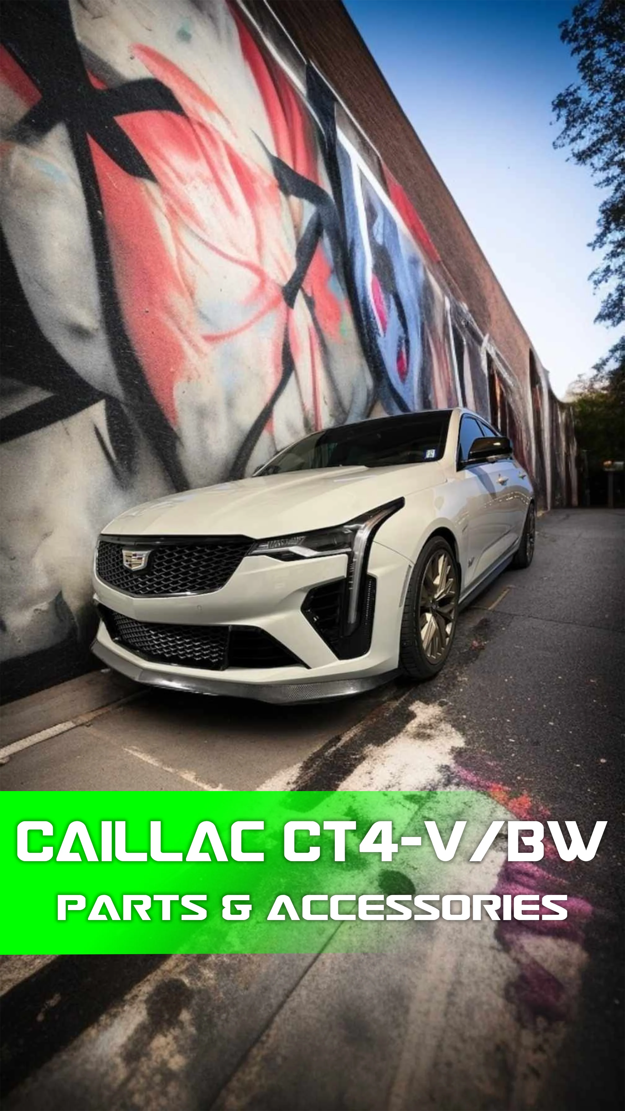 Welcome to Our Store